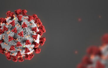 Custody, Access And Your Children During The COVID-19 Pandemic - SDA