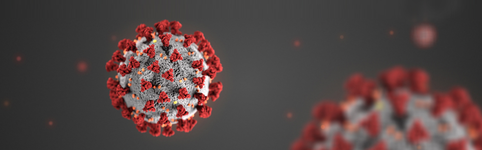 Custody, Access And Your Children During The COVID-19 Pandemic - SDA