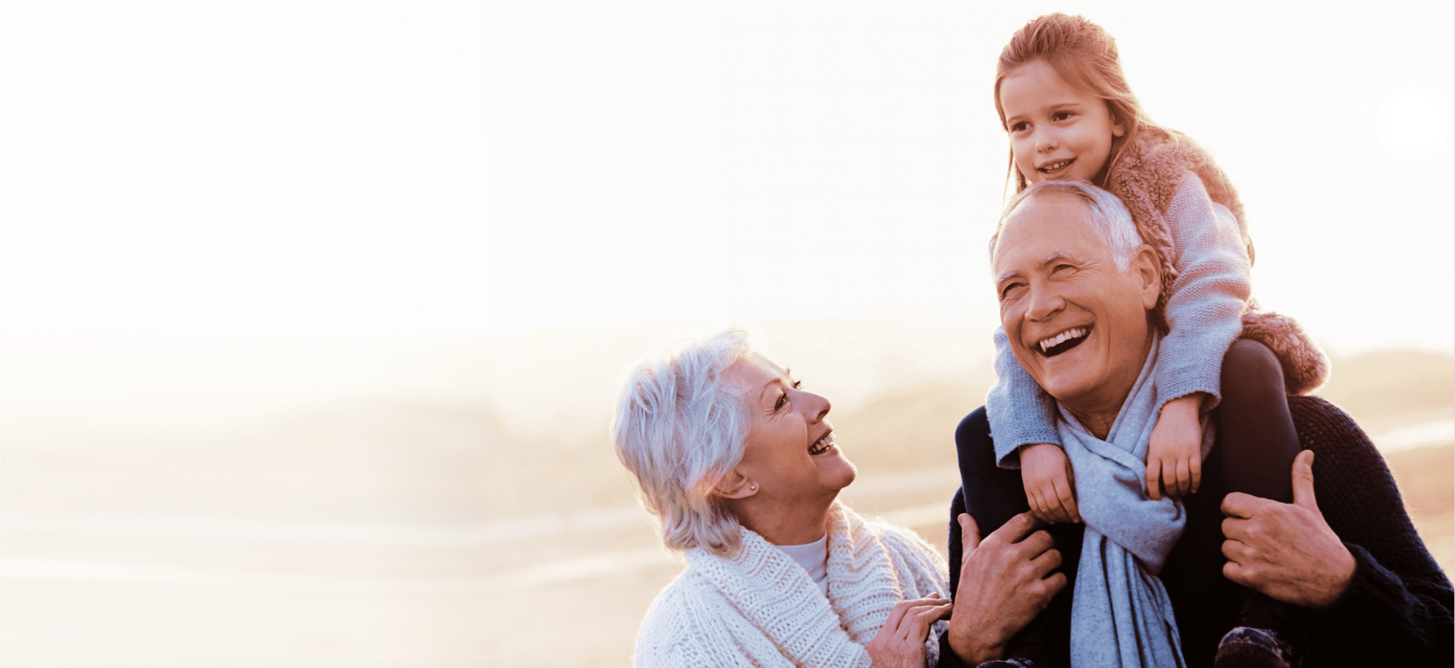 Grandprantent's Right Lawyers In Ontario - Stephen Durbin And Associates