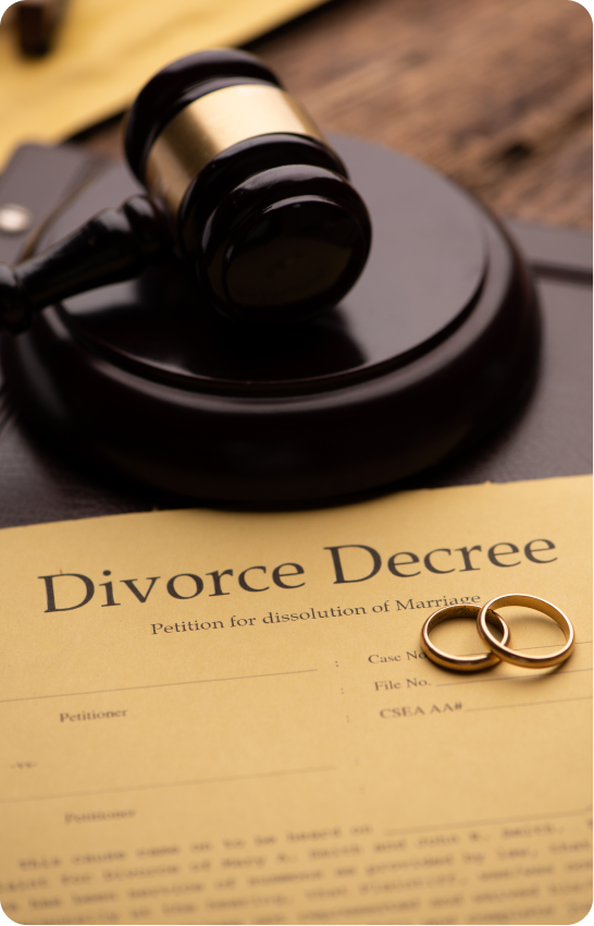 Our Family Law Services in Hamilton