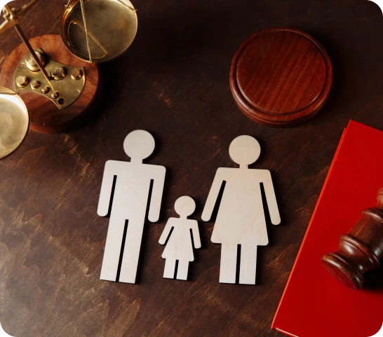 Ottawa family law practice overview showing professional lawyers consulting clients.